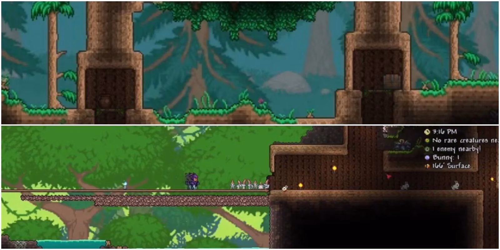 how-i-learned-to-turn-gnomes-to-stone-under-the-living-trees-image-0